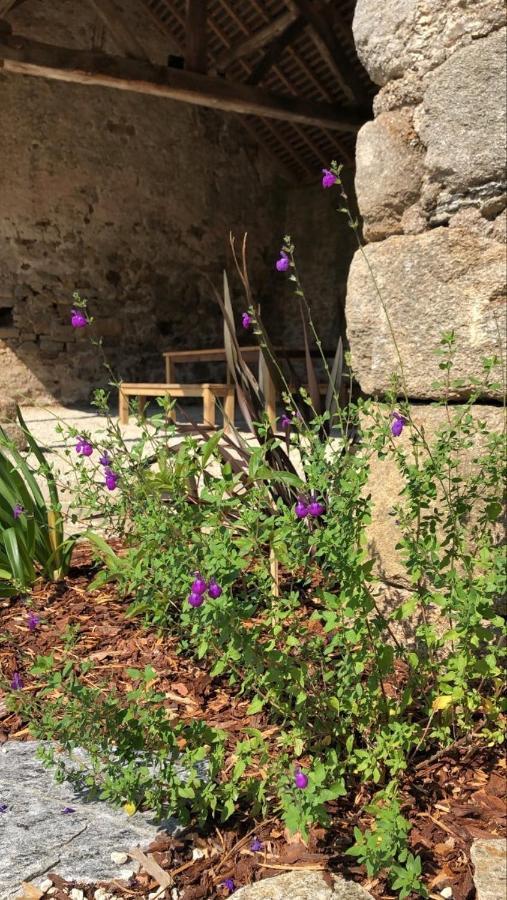 Chateau De La Garnison Orvault Dış mekan fotoğraf