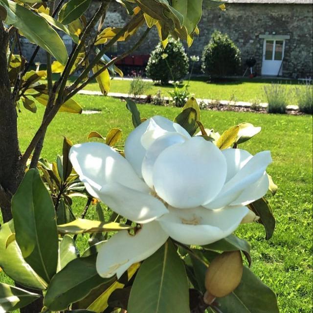 Chateau De La Garnison Orvault Dış mekan fotoğraf